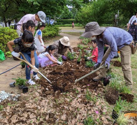 【報告】花を植えよう！ 2020年 春