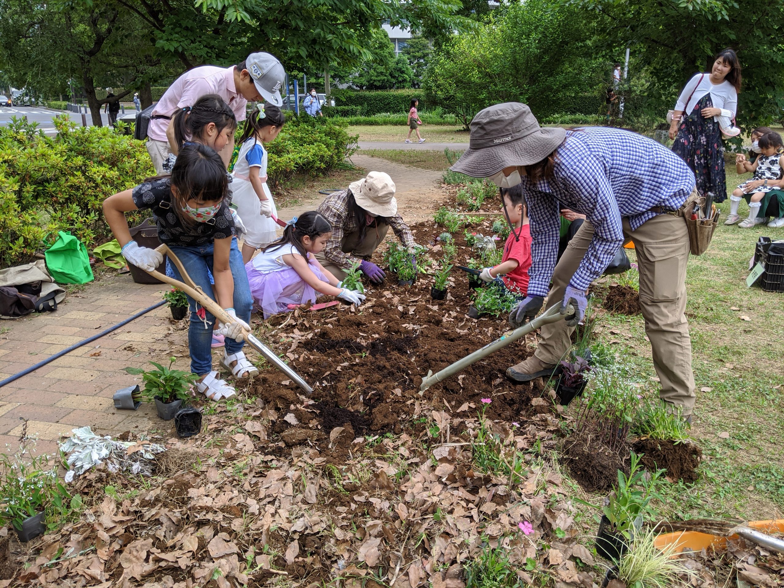 【報告】花を植えよう！ 2020年 春