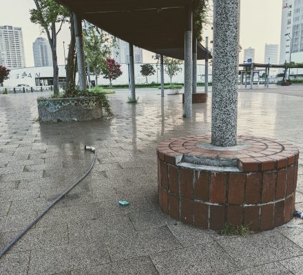 水やり