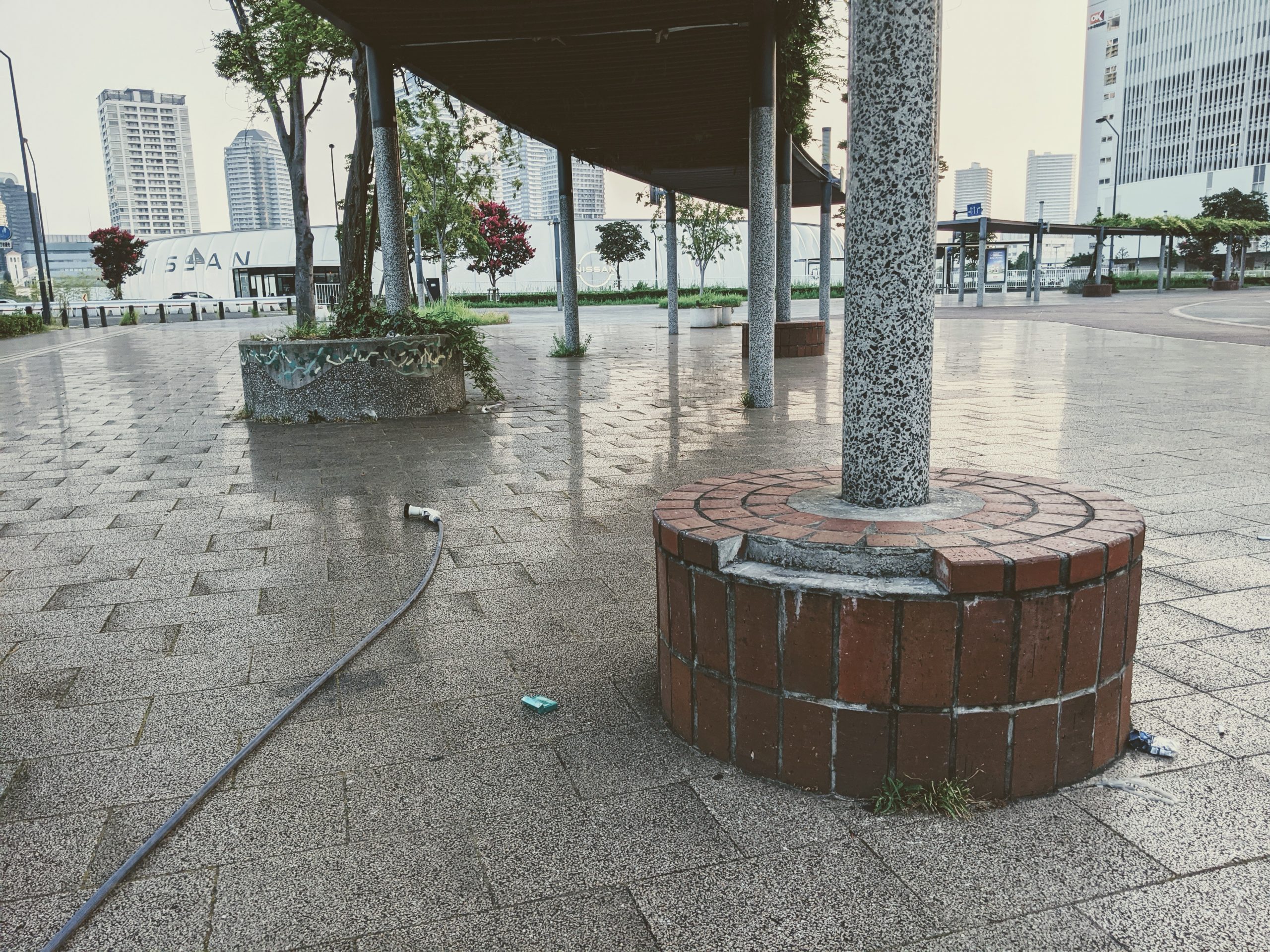 水やり