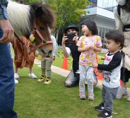 【報告】みなとみらいでポニーと遊ぼう！