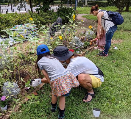【報告】花を植えよう！