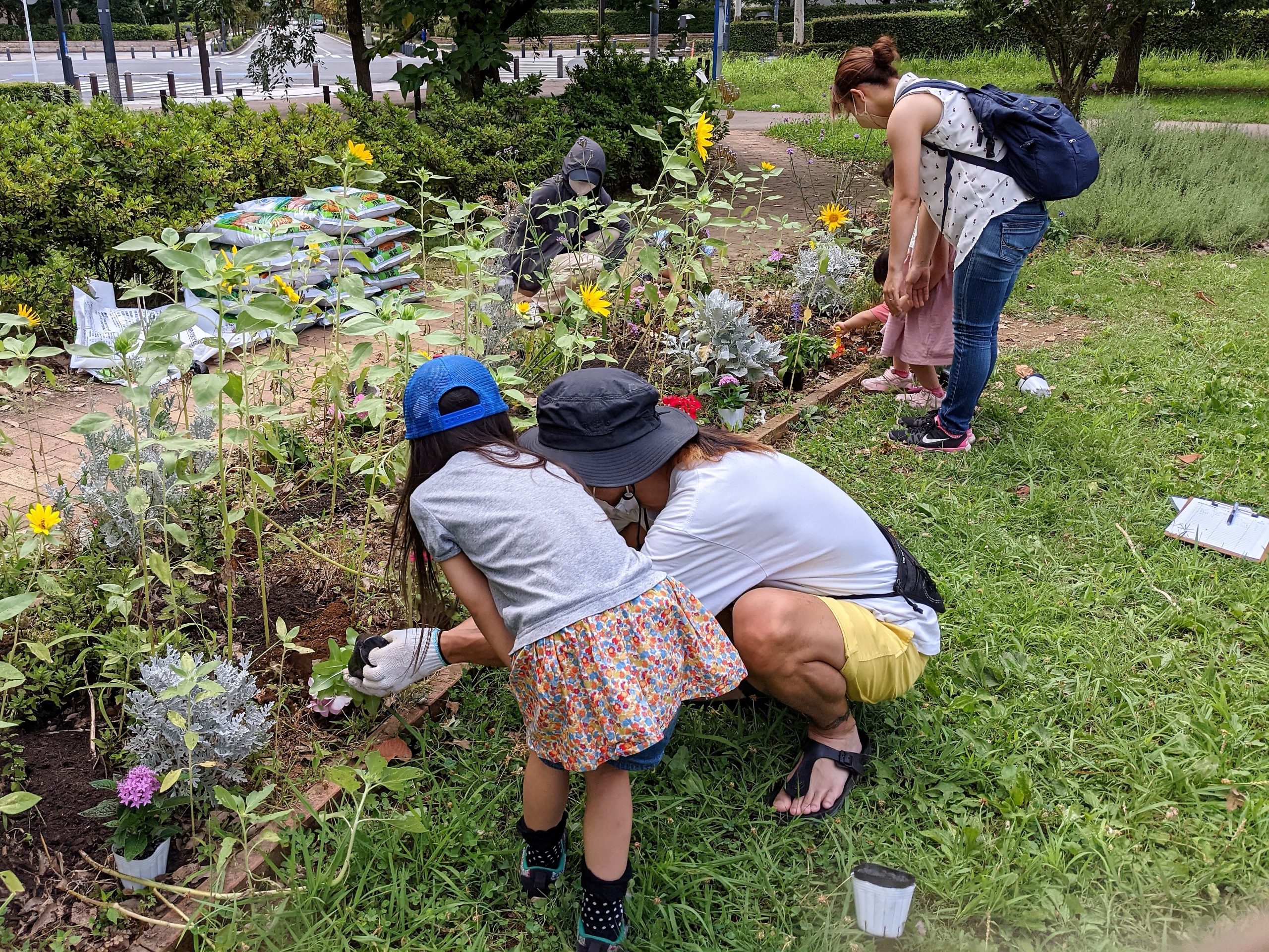 【報告】花を植えよう！