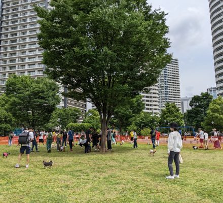 【報告】みなとみらい ParkDay 2022
