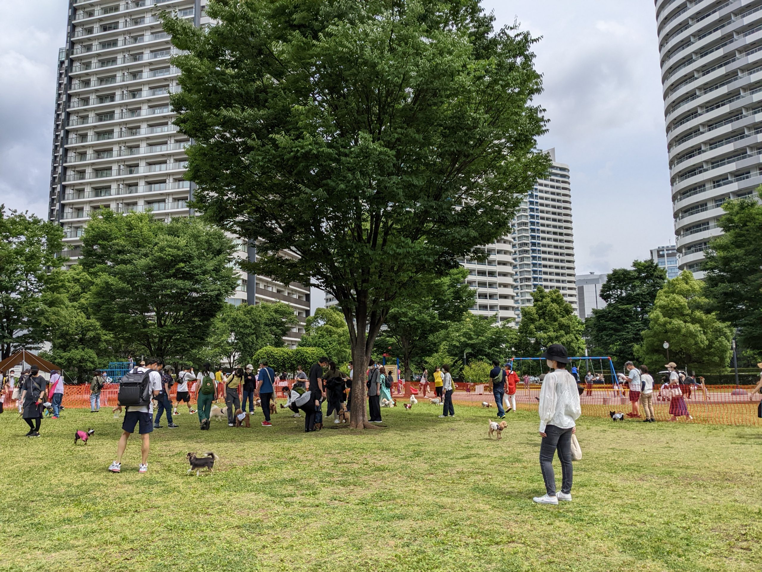 【報告】みなとみらい ParkDay 2022