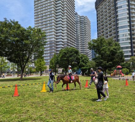 【報告】みなとみらいでポニーと遊ぼう!