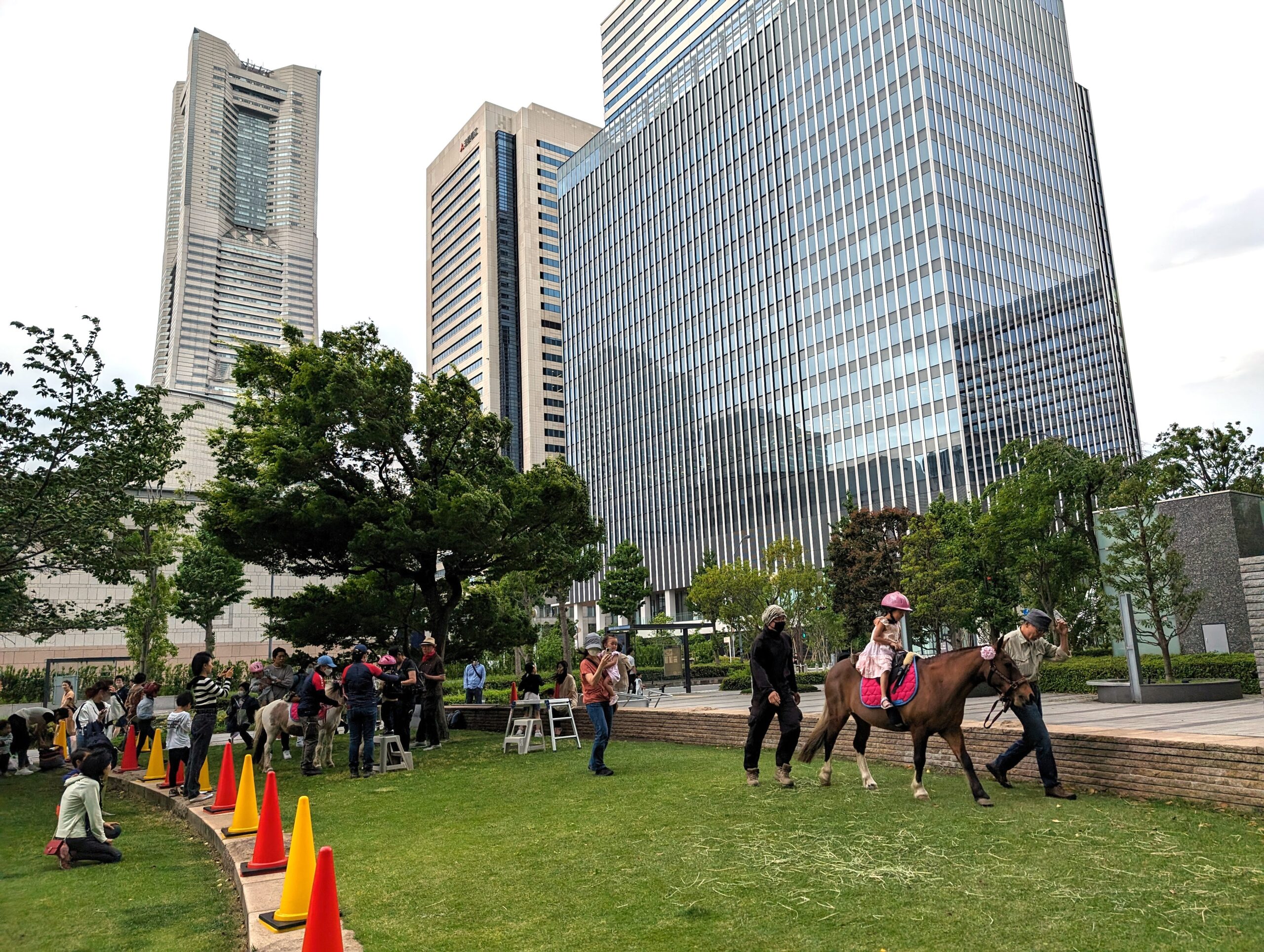 【報告】みなとみらいでポニーと遊ぼう！2024春