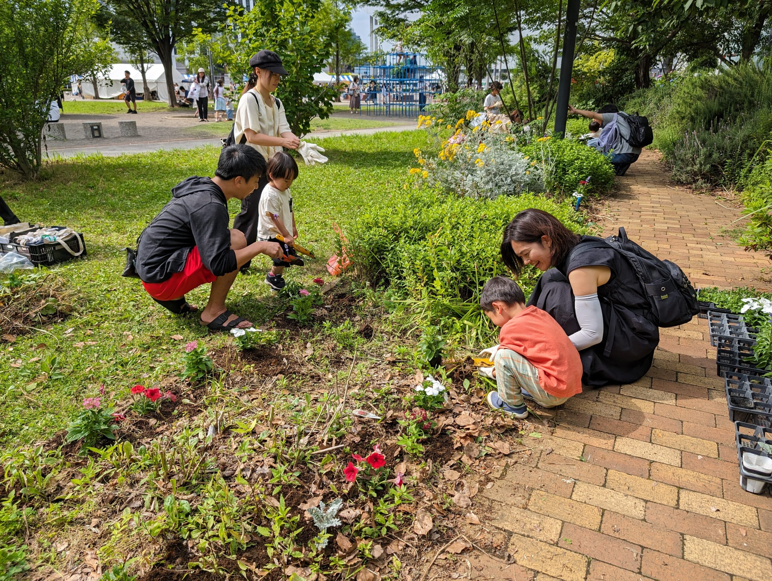 【報告】花を植えよう！　2024春