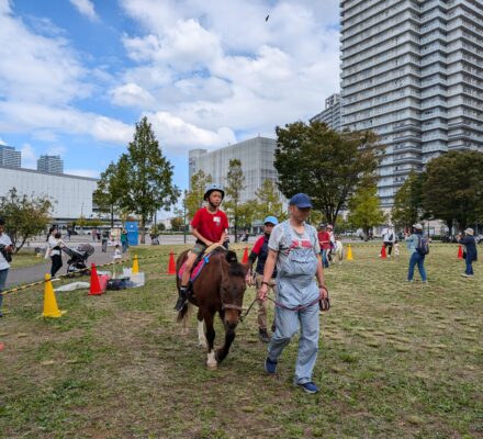 【報告】みなとみらいでポニーと遊ぼう！　2024年10月