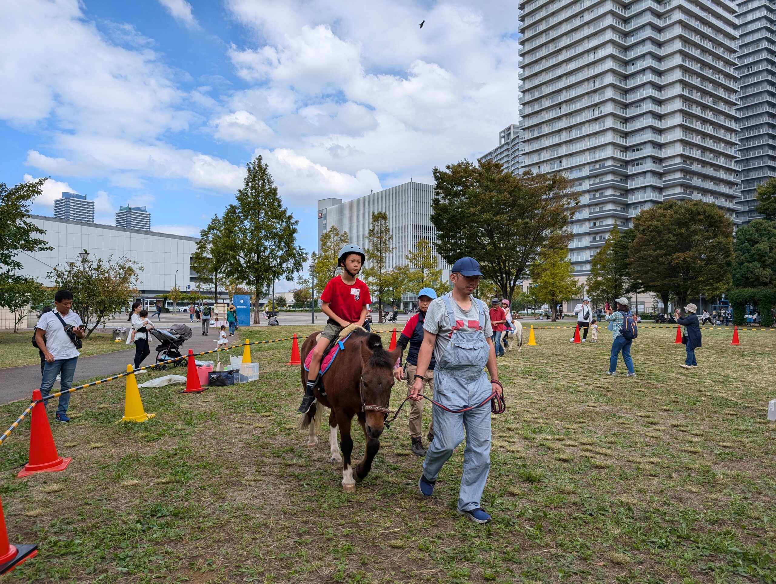 【報告】みなとみらいでポニーと遊ぼう！　2024年10月