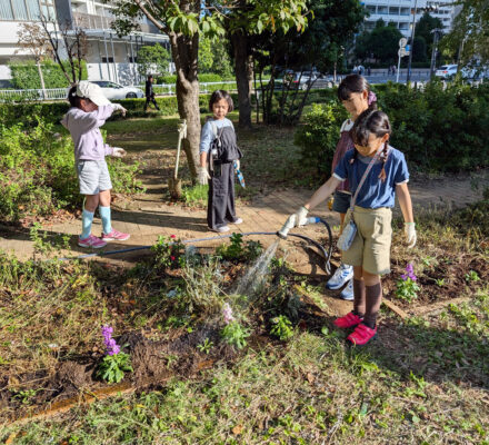 【報告】花を植えよう！　2024秋