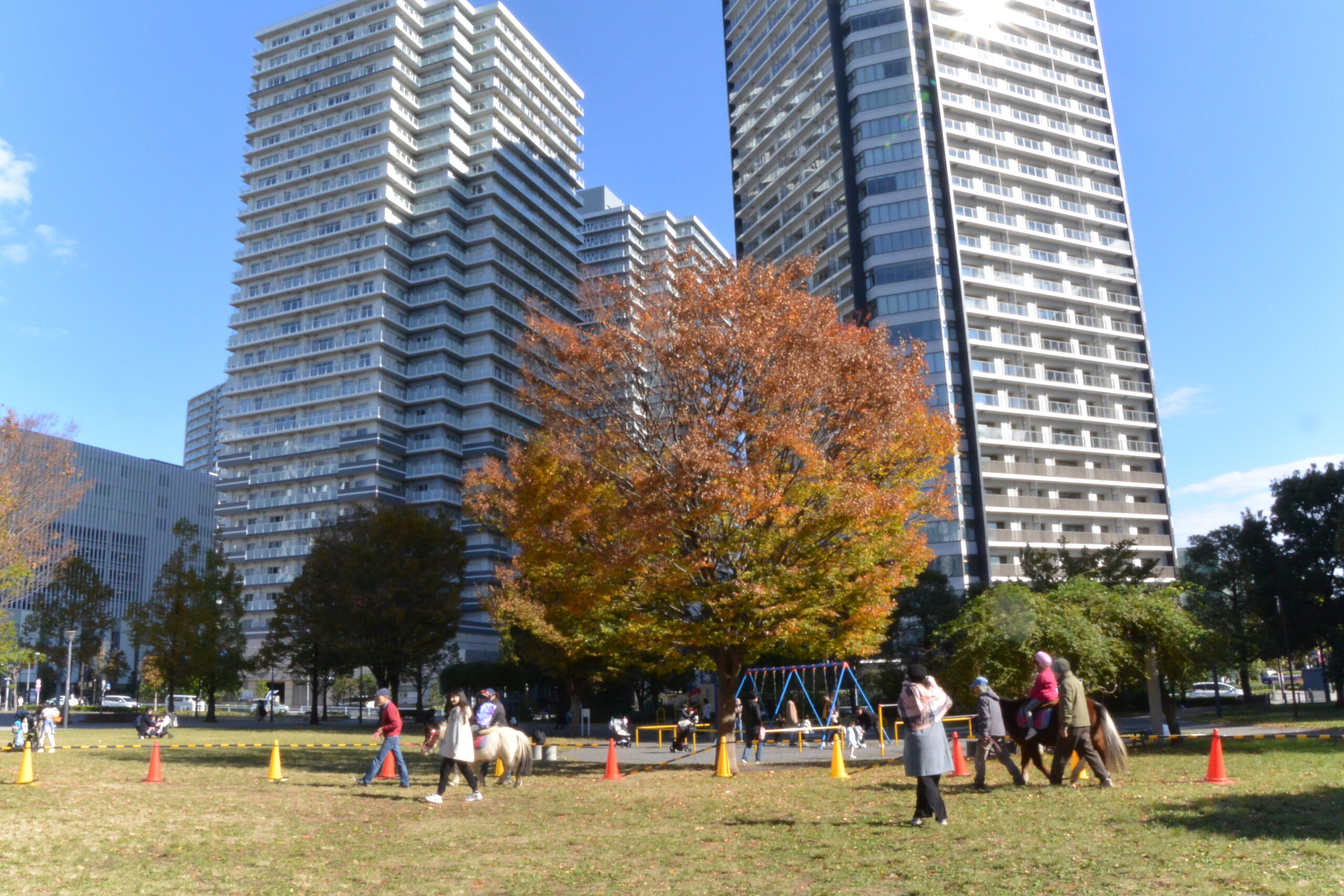 【報告】みなとみらいでポニーと遊ぼう！ – Final