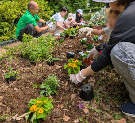 【報告】花を植えよう！