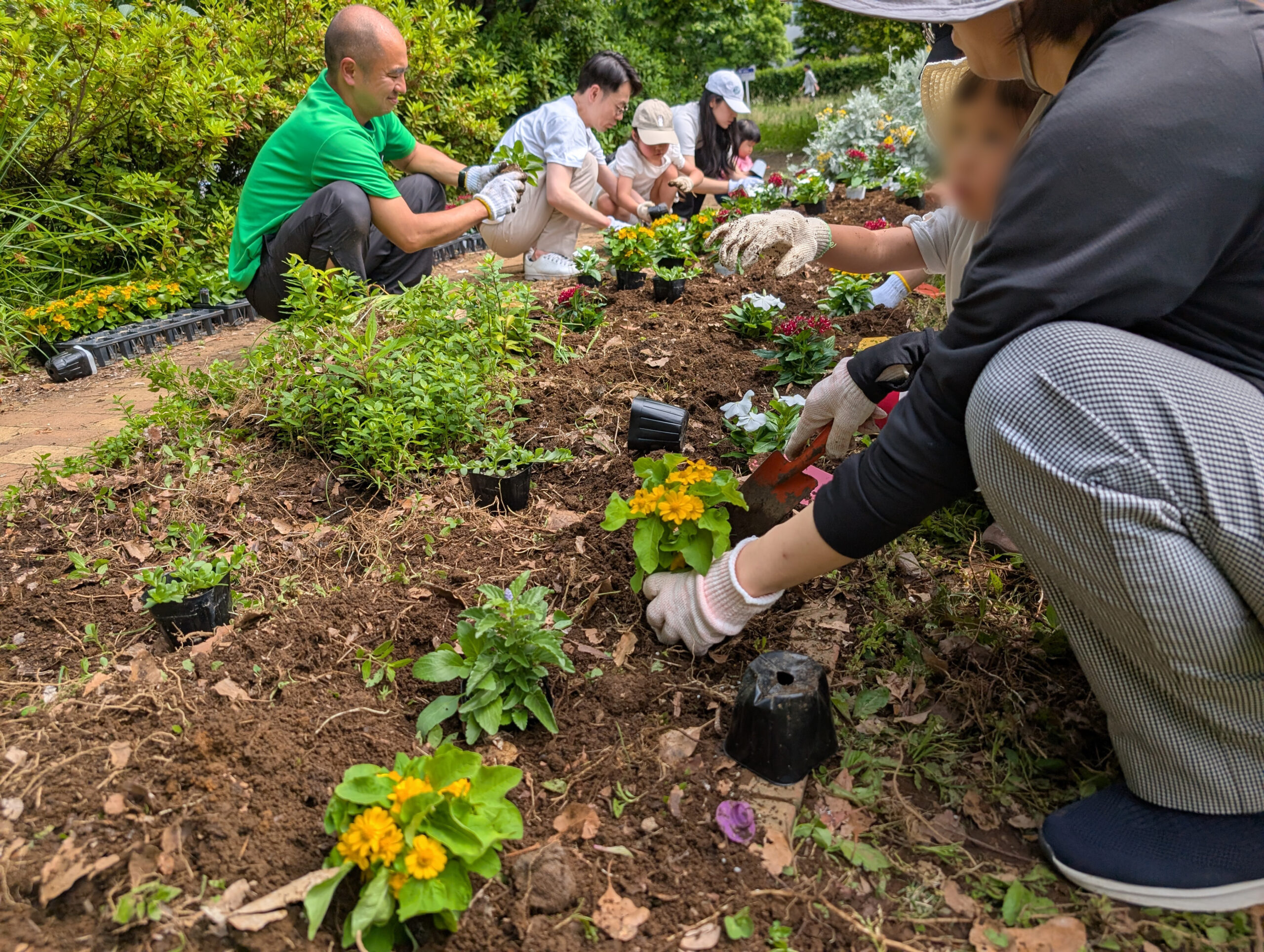 【報告】花を植えよう！
