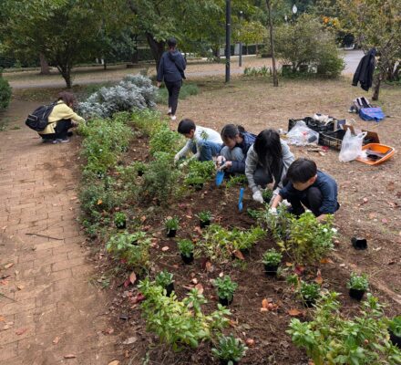 【報告】花を植えよう！2025秋
