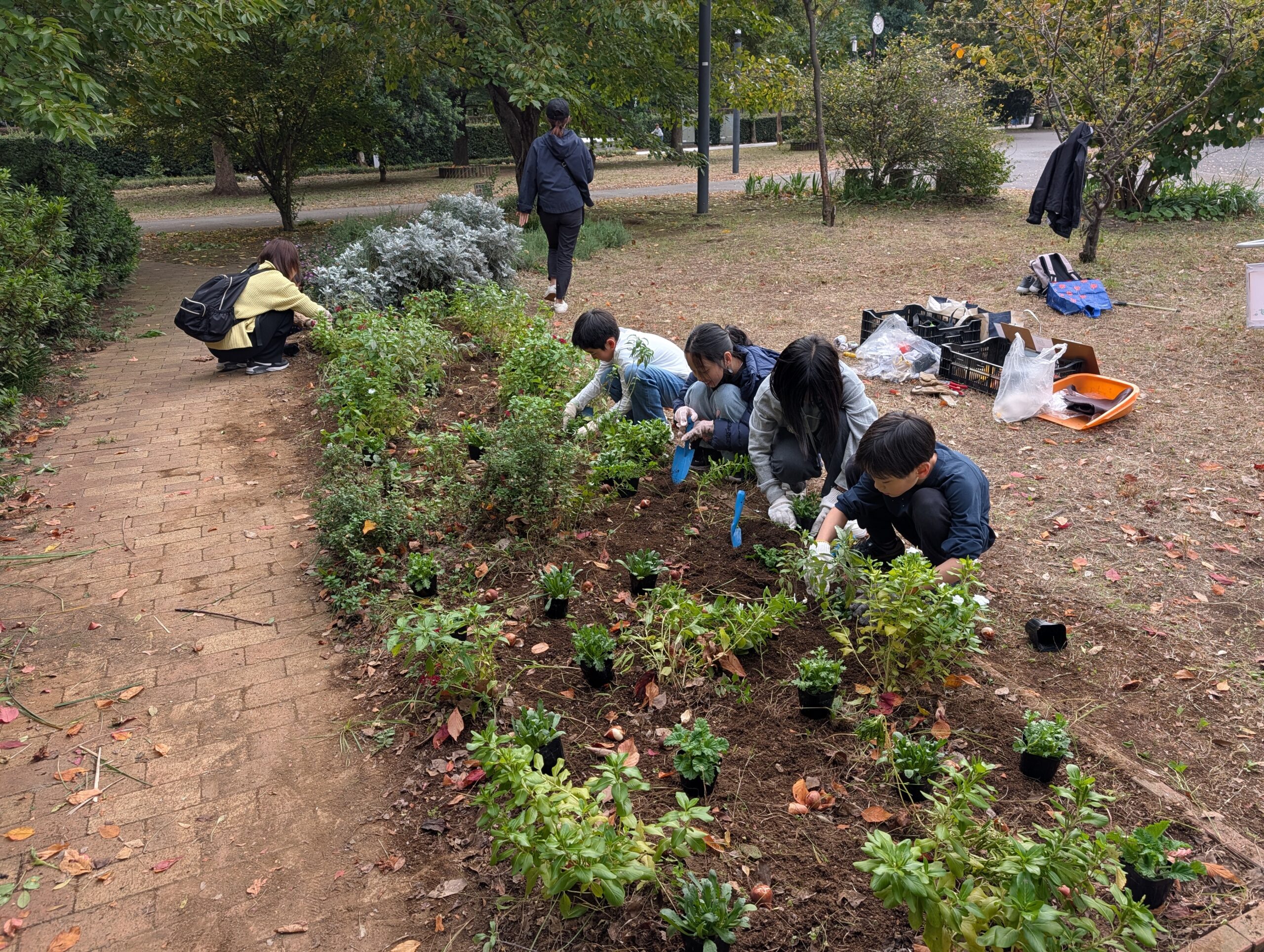 【報告】花を植えよう！2025秋